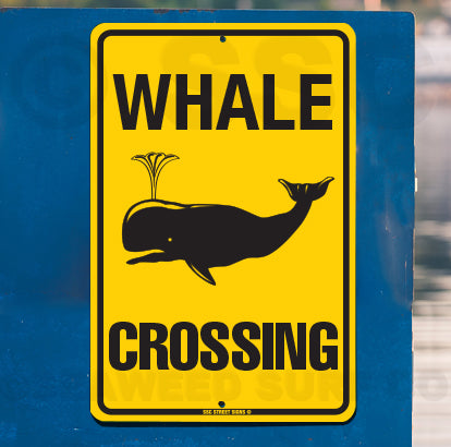 AA448 Whale Crossing