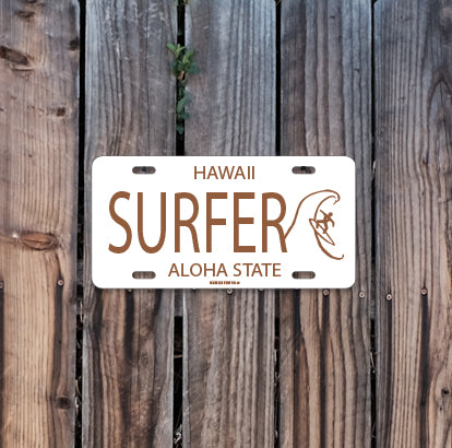 AA730 Surfer Hawaii
