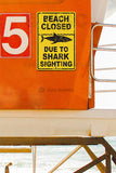 SF92Beach Closed Shark - Seaweed Surf Sign Co